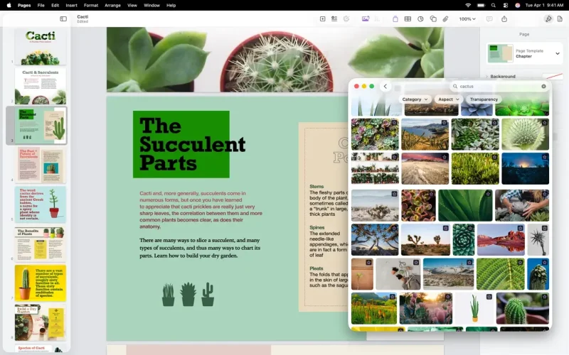 Pages Creator Studio screenshot