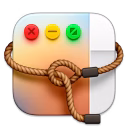 Lasso icon