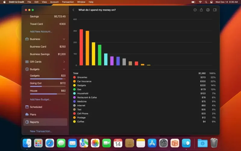 Debit & Credit Premium screenshot