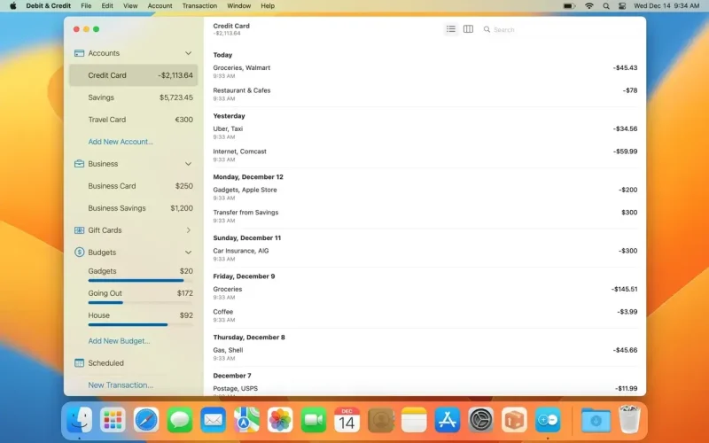Debit & Credit Premium screenshot