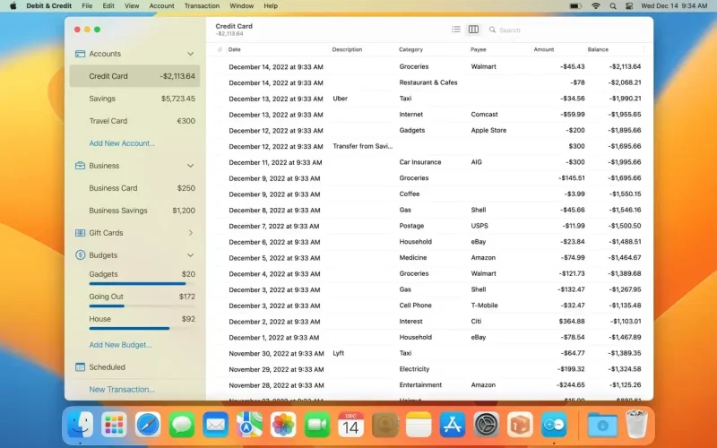 Debit & Credit Premium screenshot