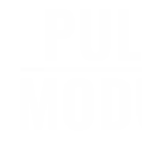 Pulsar Modular P22 Rail